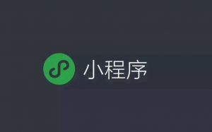 小程序搜索優(yōu)化指南(SEO)來(lái)了！
